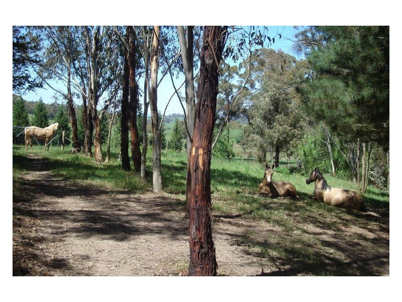 1466 Sunny Corner Road, Meadow Flat NSW 2795