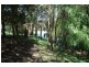 1466 Sunny Corner Road, Meadow Flat NSW 2795