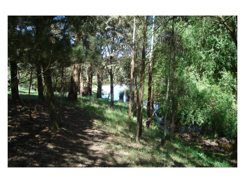 1466 Sunny Corner Road, Meadow Flat NSW 2795