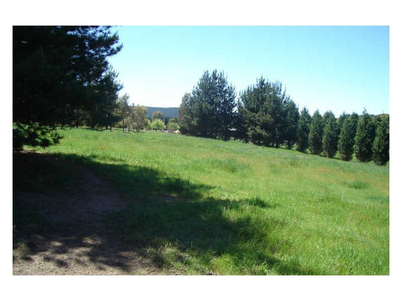 1466 Sunny Corner Road, Meadow Flat NSW 2795