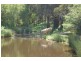1466 Sunny Corner Road, Meadow Flat NSW 2795