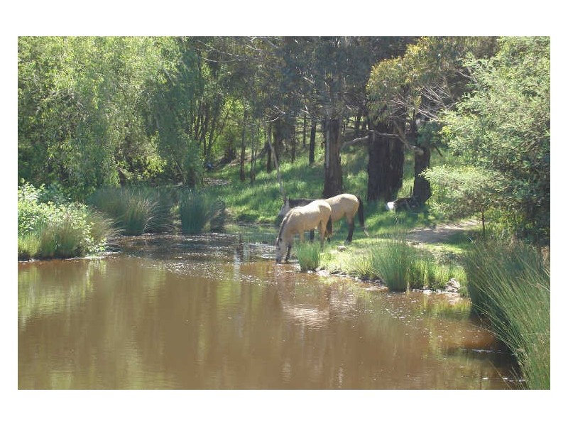1466 Sunny Corner Road, Meadow Flat NSW 2795