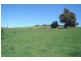 1466 Sunny Corner Road, Meadow Flat NSW 2795