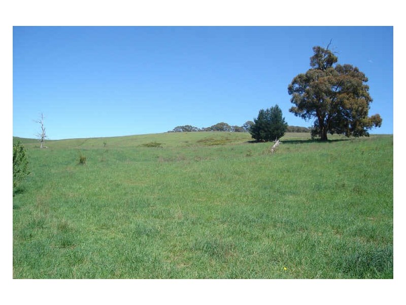 1466 Sunny Corner Road, Meadow Flat NSW 2795