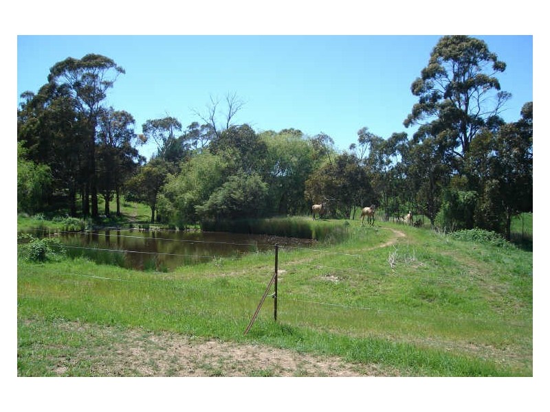 1466 Sunny Corner Road, Meadow Flat NSW 2795
