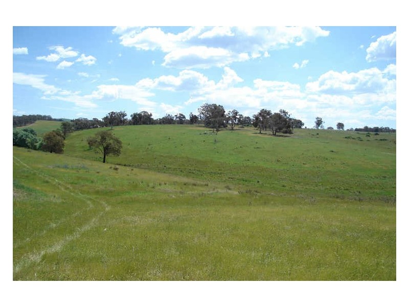 Lot 10 Thompsons Creek Road, Pipers Flat NSW 2847