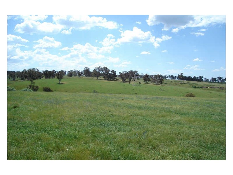 Lot 10 Thompsons Creek Road, Pipers Flat NSW 2847