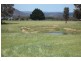 Lot 10 Thompsons Creek Road, Pipers Flat NSW 2847