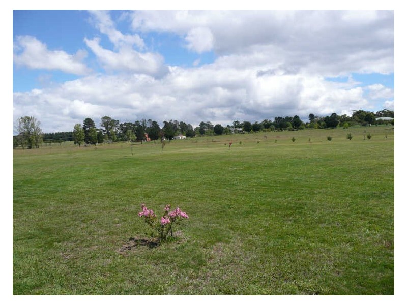 Lot 37 Granger Place, Hartley NSW 2790