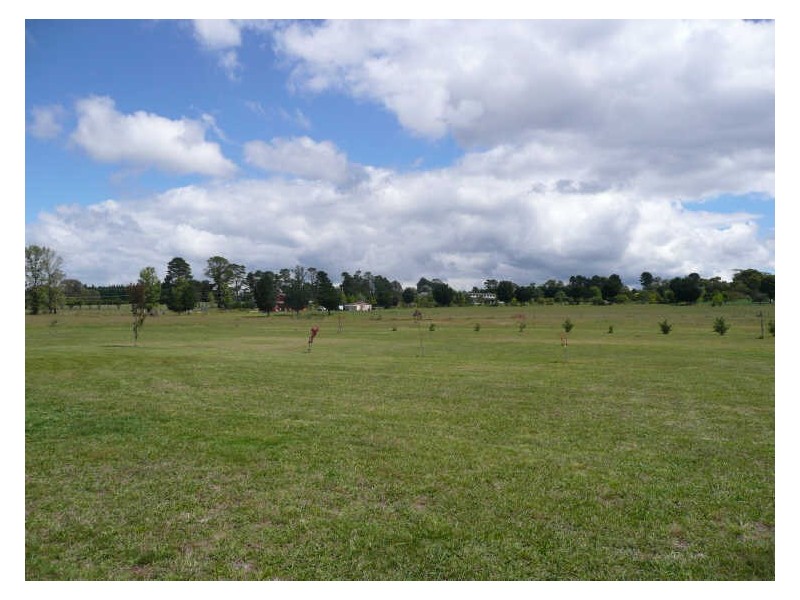 Lot 37 Granger Place, Hartley NSW 2790