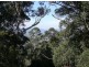Lot 1 Jenolan Caves Road, Hampton NSW 2790