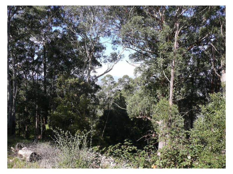 Lot 1 Jenolan Caves Road, Hampton NSW 2790