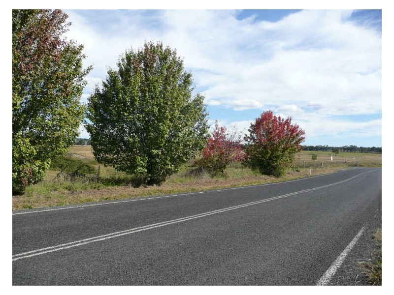 37-45 Carsons Siding Road, Cullen Bullen NSW 2790