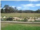 Lot A Gemalong Close, Marrangaroo NSW 2790