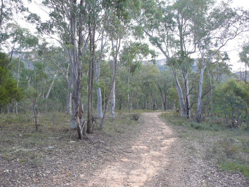 1350 Wolgan Road, Ben Bullen NSW 2790