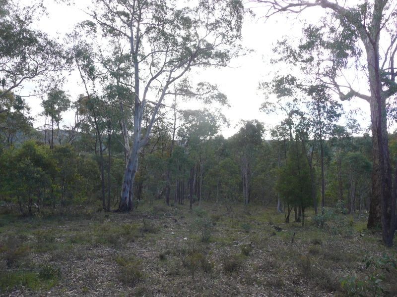 1350 Wolgan Road, Ben Bullen NSW 2790