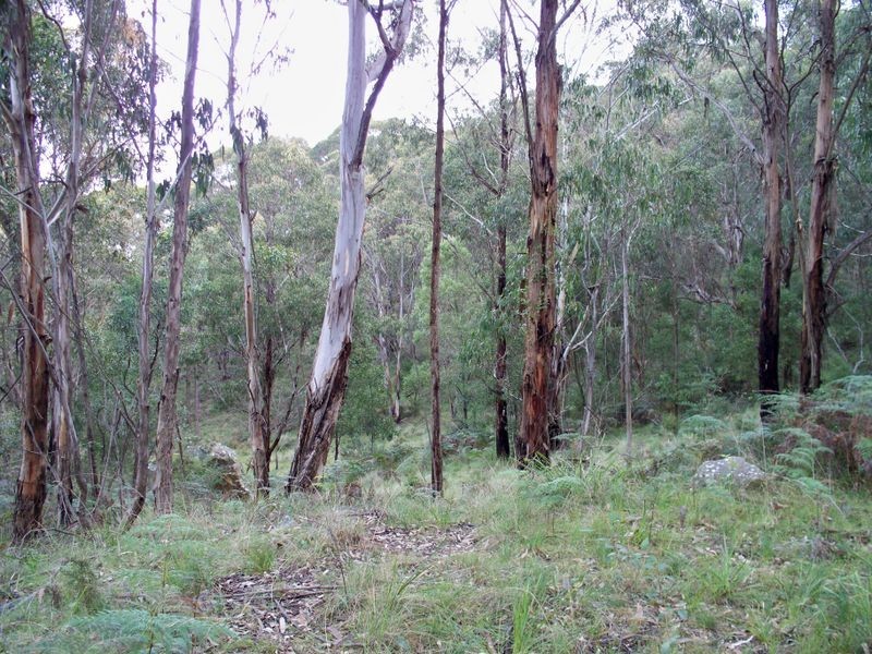 3372 Great Western Highway, Bowenfels NSW 2790