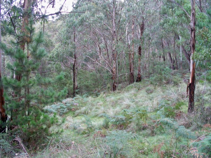 3372 Great Western Highway, Bowenfels NSW 2790