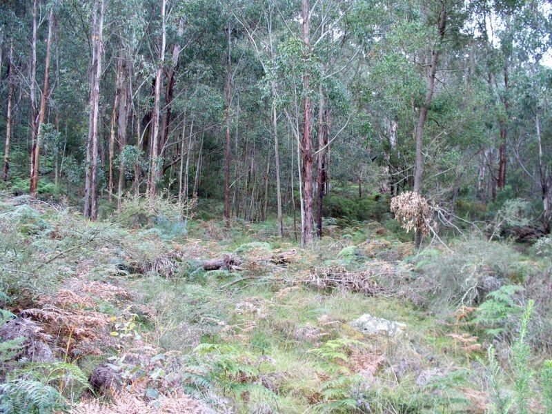 3372 Great Western Highway, Bowenfels NSW 2790