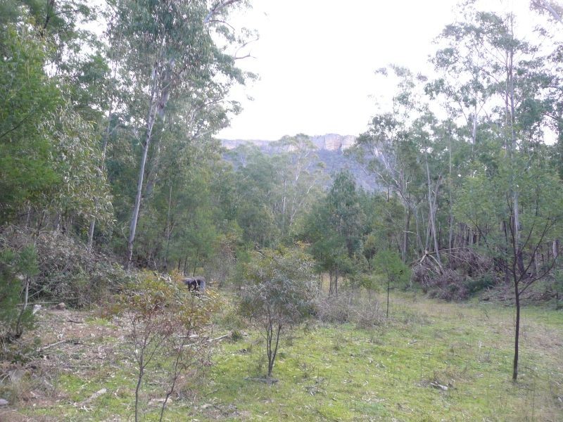 1350 Wolgan Road, Lidsdale NSW 2790
