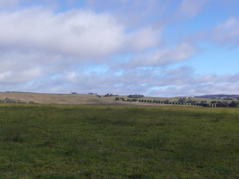 Lot 51 Range Road, Pipers Flat NSW 2847