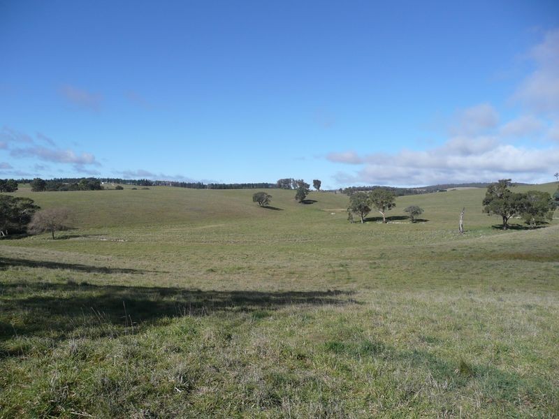 Lot 51 Range Road, Pipers Flat NSW 2847