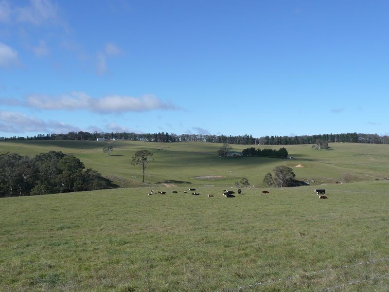 Lot 51 Range Road, Pipers Flat NSW 2847