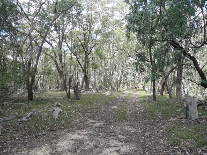 808 Mount Vincent Road, Running Stream NSW 2850