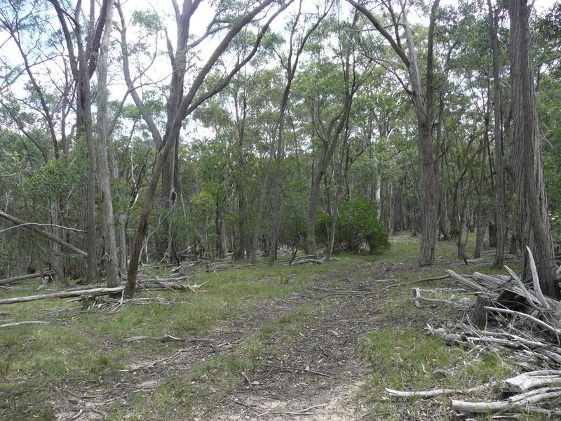 808 Mount Vincent Road, Running Stream NSW 2850