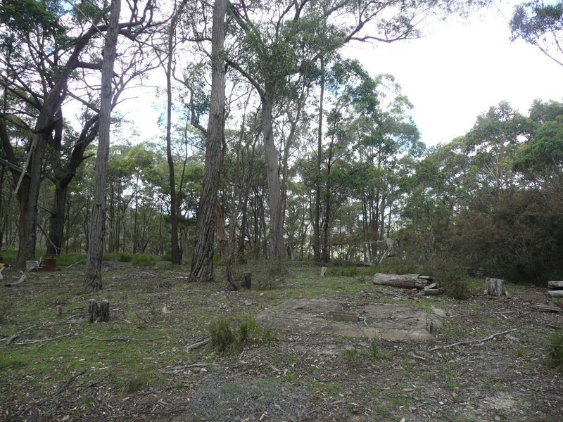 808 Mount Vincent Road, Running Stream NSW 2850