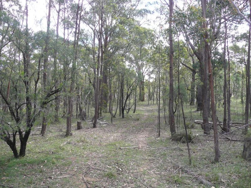 808 Mount Vincent Road, Running Stream NSW 2850