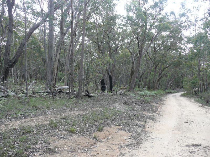 808 Mount Vincent Road, Running Stream NSW 2850