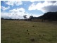 Willow Tre Brays Lane, Wallerawang NSW 2845