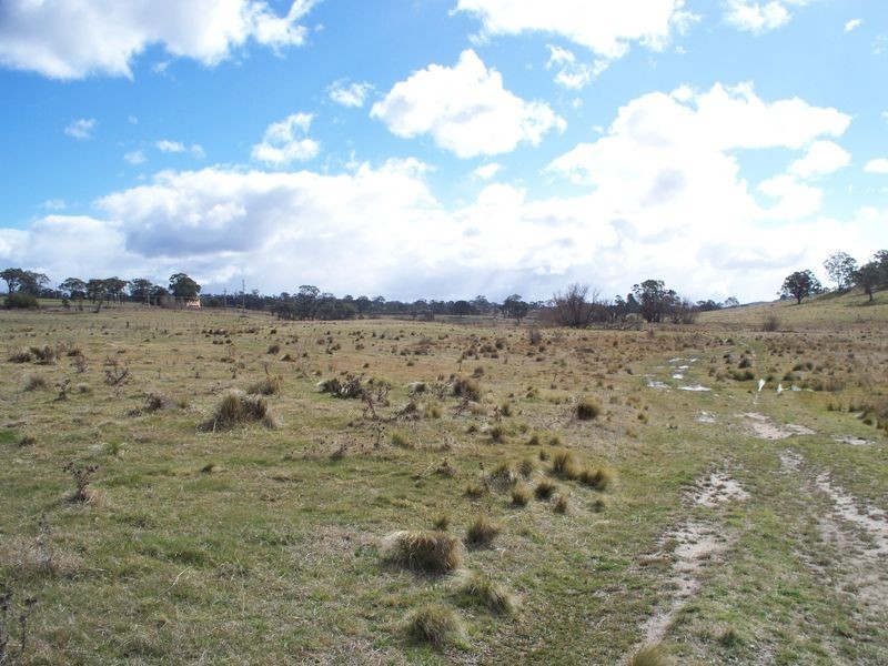 Willow Tre Brays Lane, Wallerawang NSW 2845