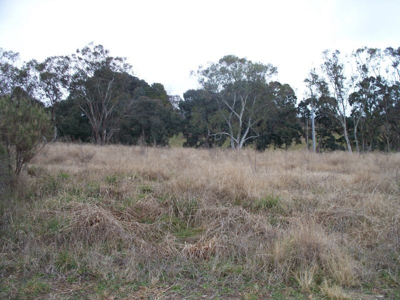 Lot 14 Henning Crescent, Wallerawang NSW 2845