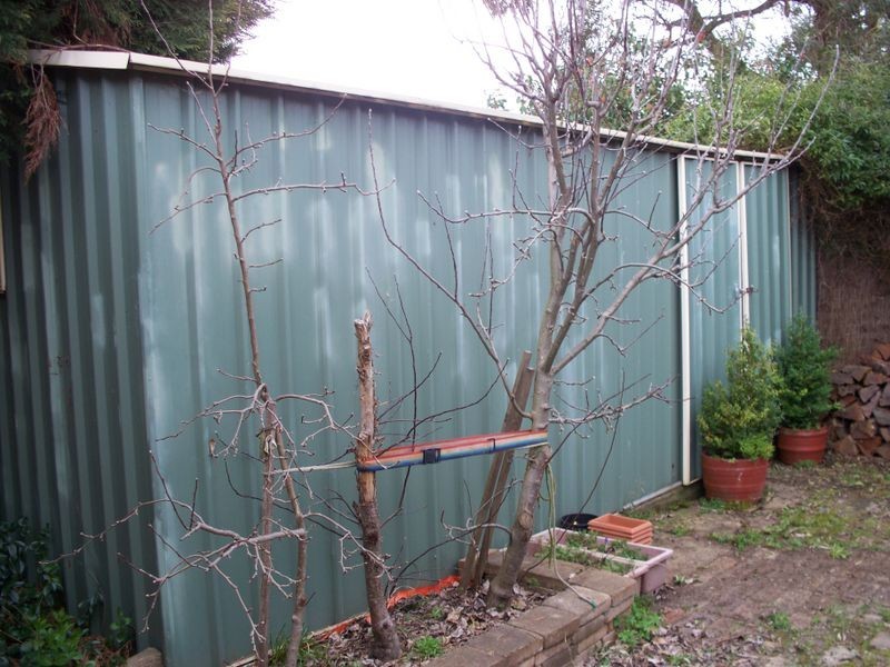 37 Martini Parade, Lithgow NSW 2790