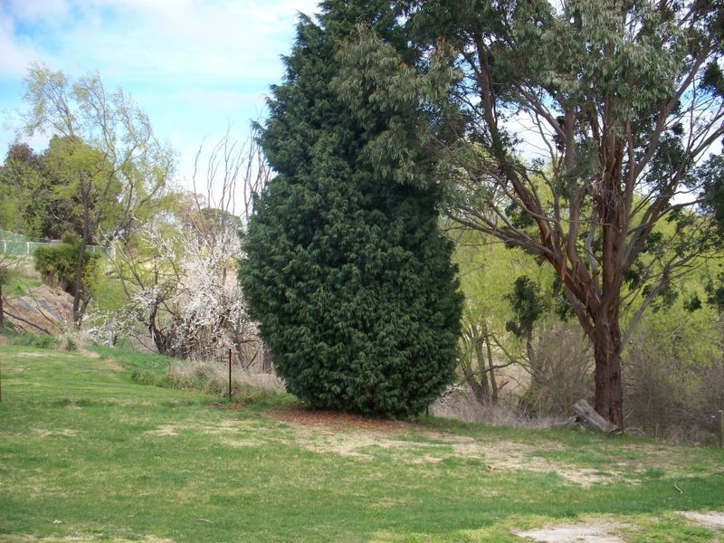 4 Bathurst Street, Wallerawang NSW 2845