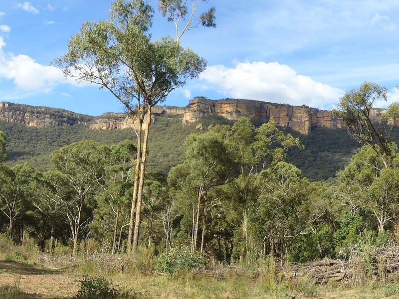 Lots 34 & Wolgan Road, Ben Bullen NSW 2790