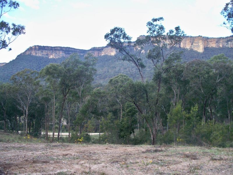 Lots 34 & Wolgan Road, Ben Bullen NSW 2790