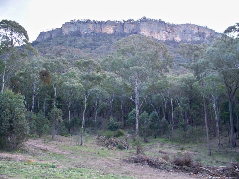 Lots 34 & Wolgan Road, Ben Bullen NSW 2790