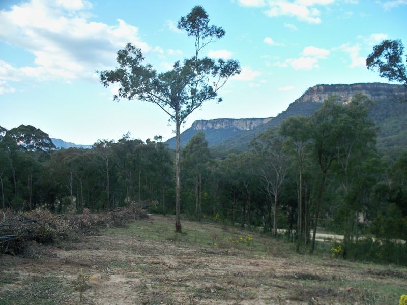 Lots 34 & Wolgan Road, Ben Bullen NSW 2790