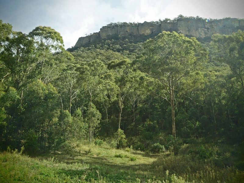 Lots 34 & Wolgan Road, Ben Bullen NSW 2790