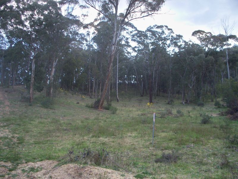 Lots 34 & Wolgan Road, Ben Bullen NSW 2790