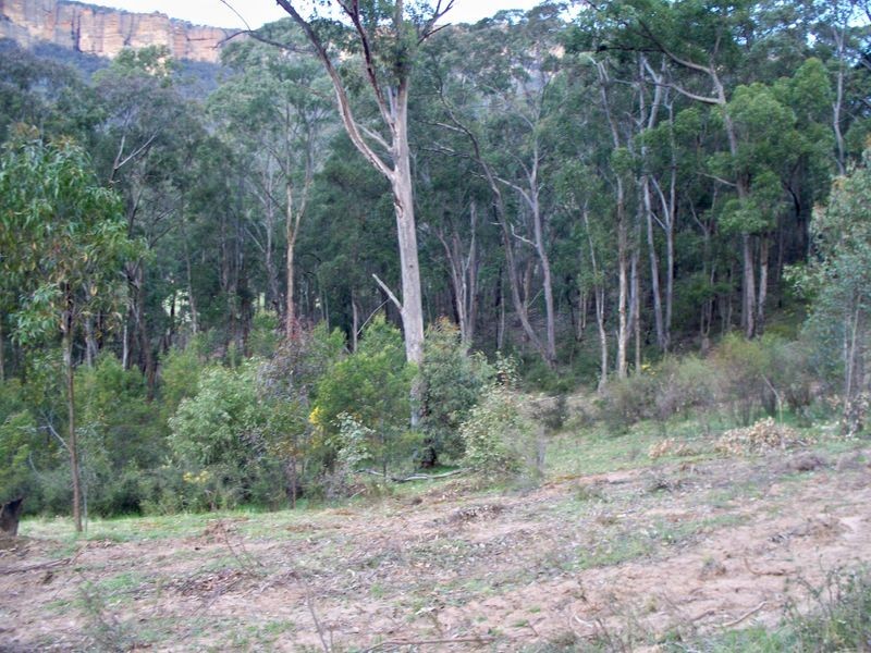 Lots 34 & Wolgan Road, Ben Bullen NSW 2790