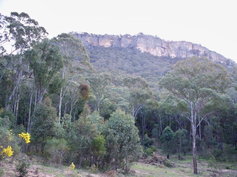 Lots 34 & Wolgan Road, Ben Bullen NSW 2790