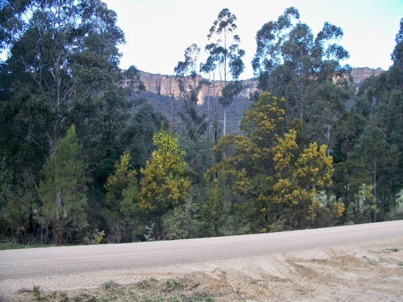 Lots 34 & Wolgan Road, Ben Bullen NSW 2790