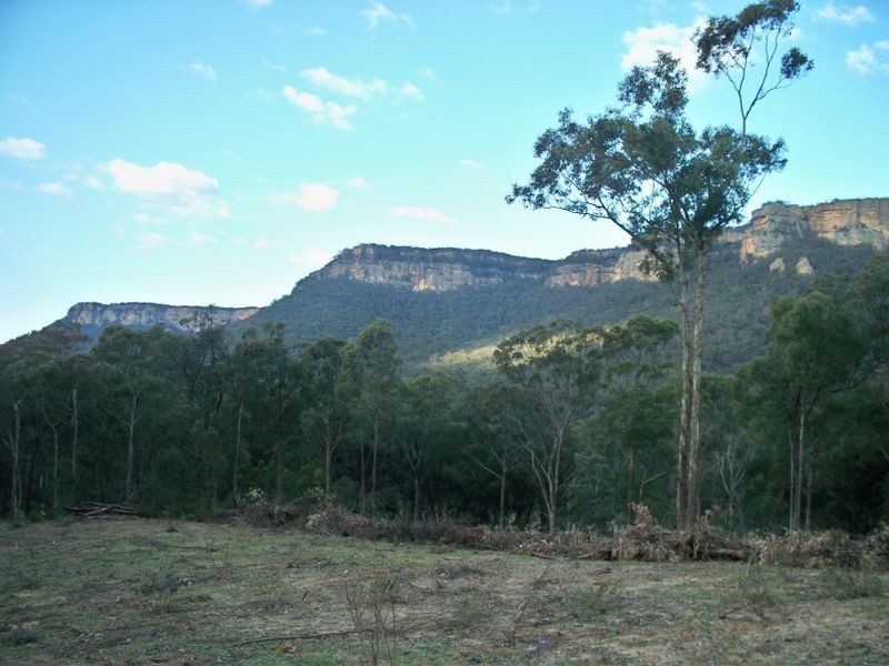 Lots 34 & Wolgan Road, Ben Bullen NSW 2790