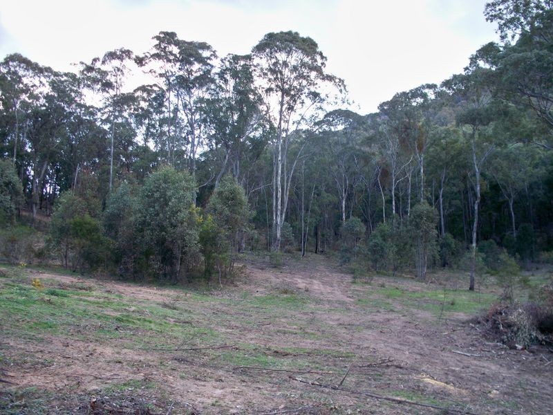 Lots 34 & Wolgan Road, Ben Bullen NSW 2790