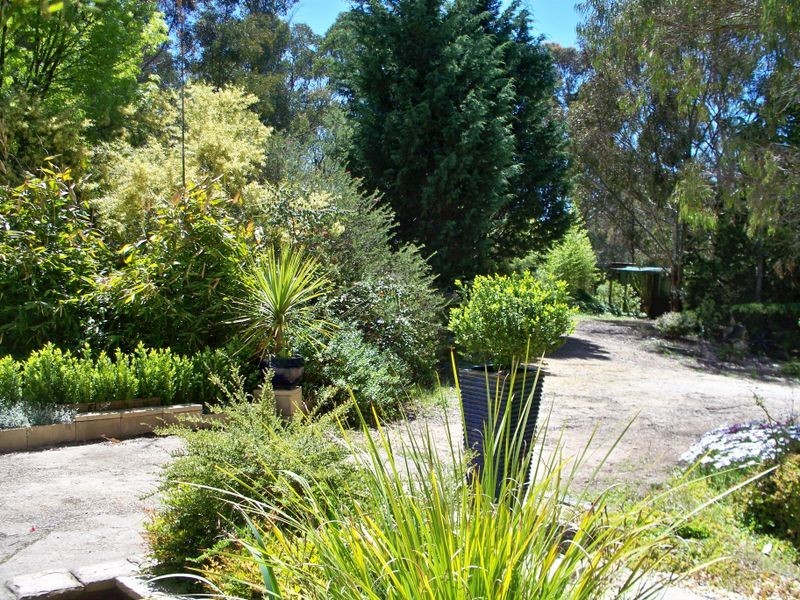2603 Castlereagh Highway, Cullen Bullen NSW 2790