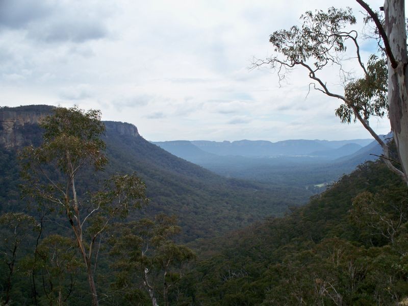 886 Wolgan Road, Lidsdale NSW 2790